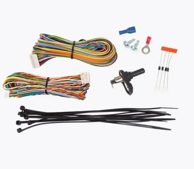 изображение_2024-10-19_014646175