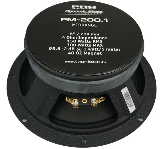 Мидвуфер Dynamic State PM-200.1 PRO Series - фото