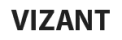 VIZANT VIZANT